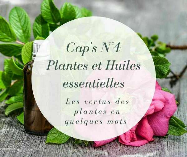 Caps 4 "Plantes & Huiles essentielles"