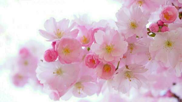 Et si vous preniez soin de vous… avant de tomber malade ?