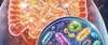 intestinimmunitedigestioninflammation
