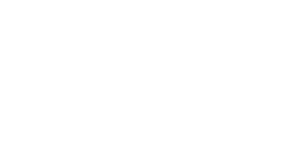 Logo PLACC INNOVA Logo PLACC INNOVA