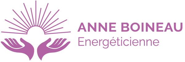 Logo EI Anne Boineau Logo EI Anne Boineau