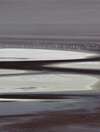oiseaux blancs sur plan d eau calme reflet serein nature
