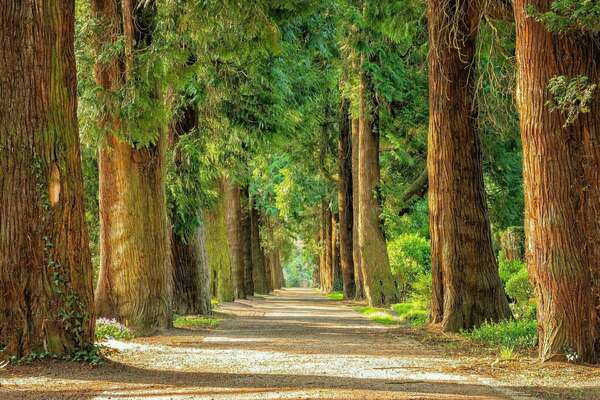 Pourquoi et comment s’ancrer ?