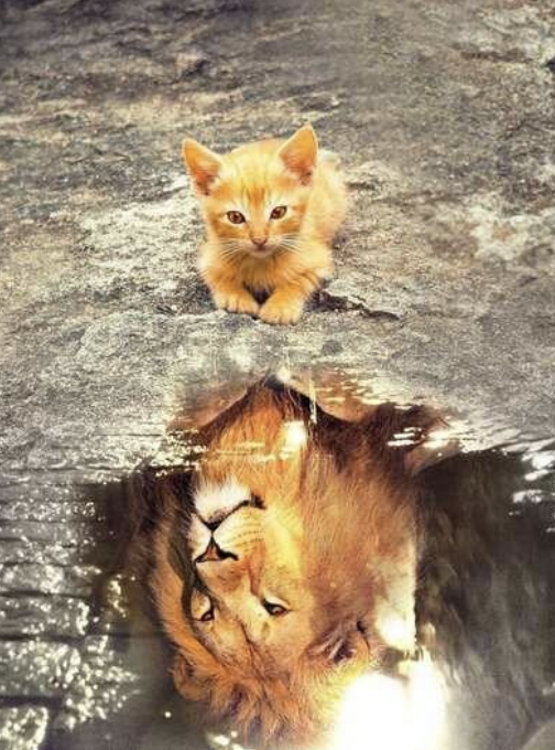 Confiance et estime de soi