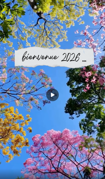 Meilleurs vœux 2026