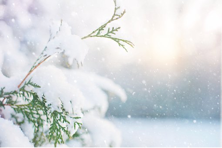 Les trucs & astuces pour passer un bon Noël