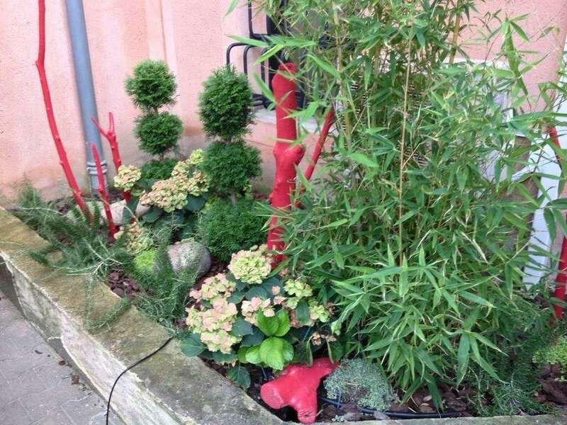 avvv6eyvnd_1610521952