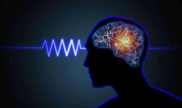 modèle physiologique de la fibromyalgie et fonctionnement du système nerveux