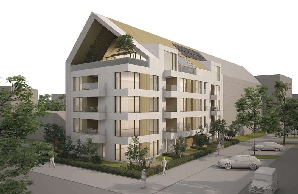 Oxalis : Belair - Luxembourg Ville