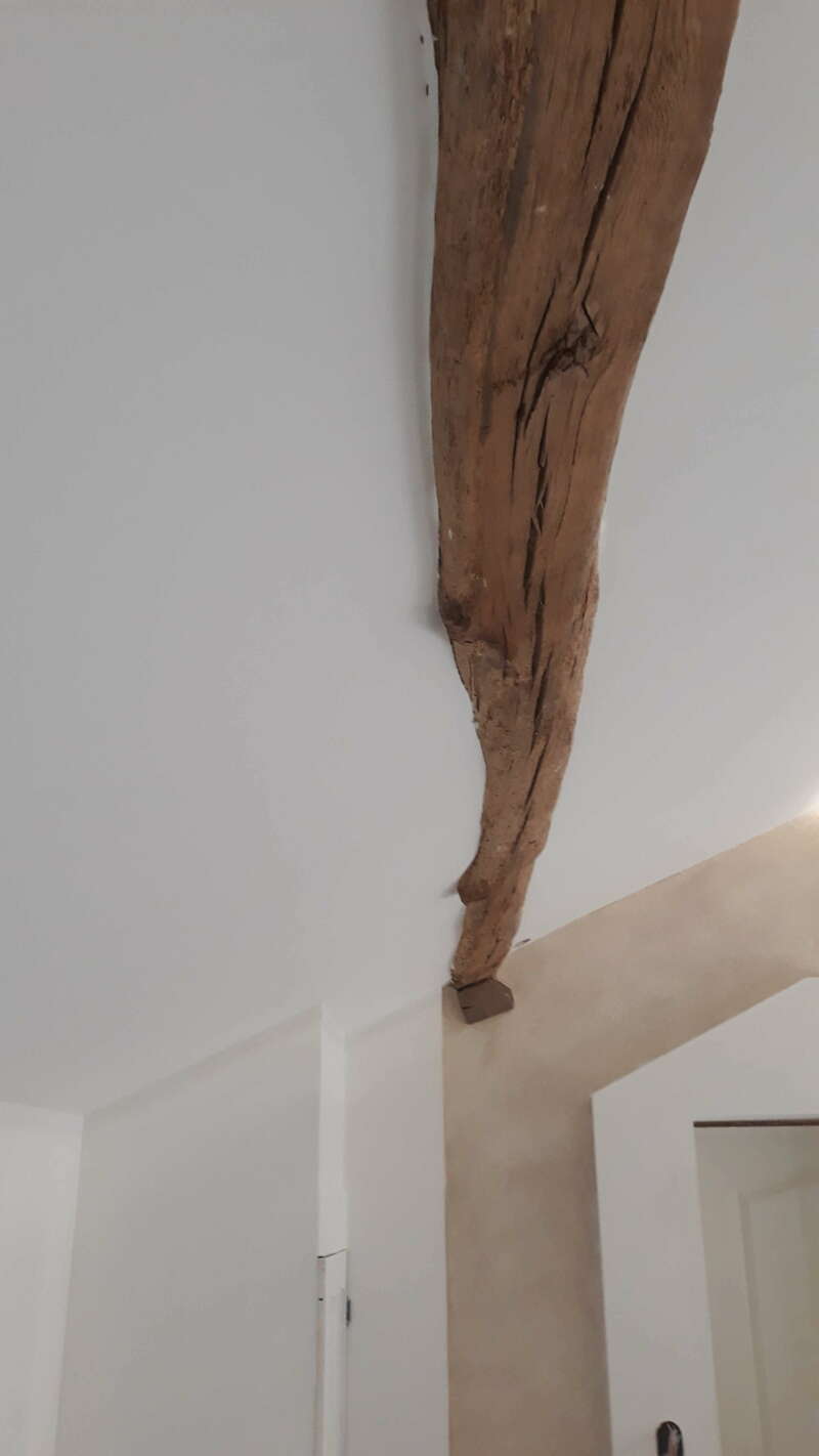 20191115_15175320230202-2302766-1x5ywqt