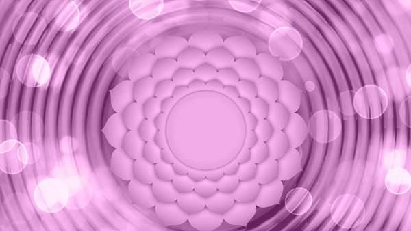 Qu'est ce que Les chakras ?