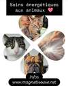 Soin énergétique aux animaux
