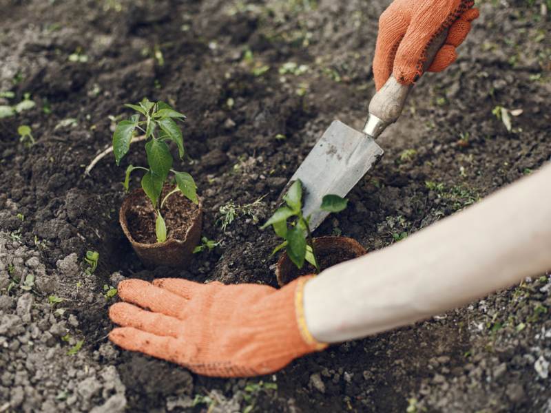 capture_d_ecran_2023-08-22_a_11-26-18