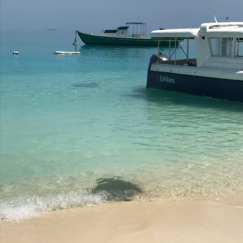 39ef730e-f6dd-4511-a841-045ce3a7903a