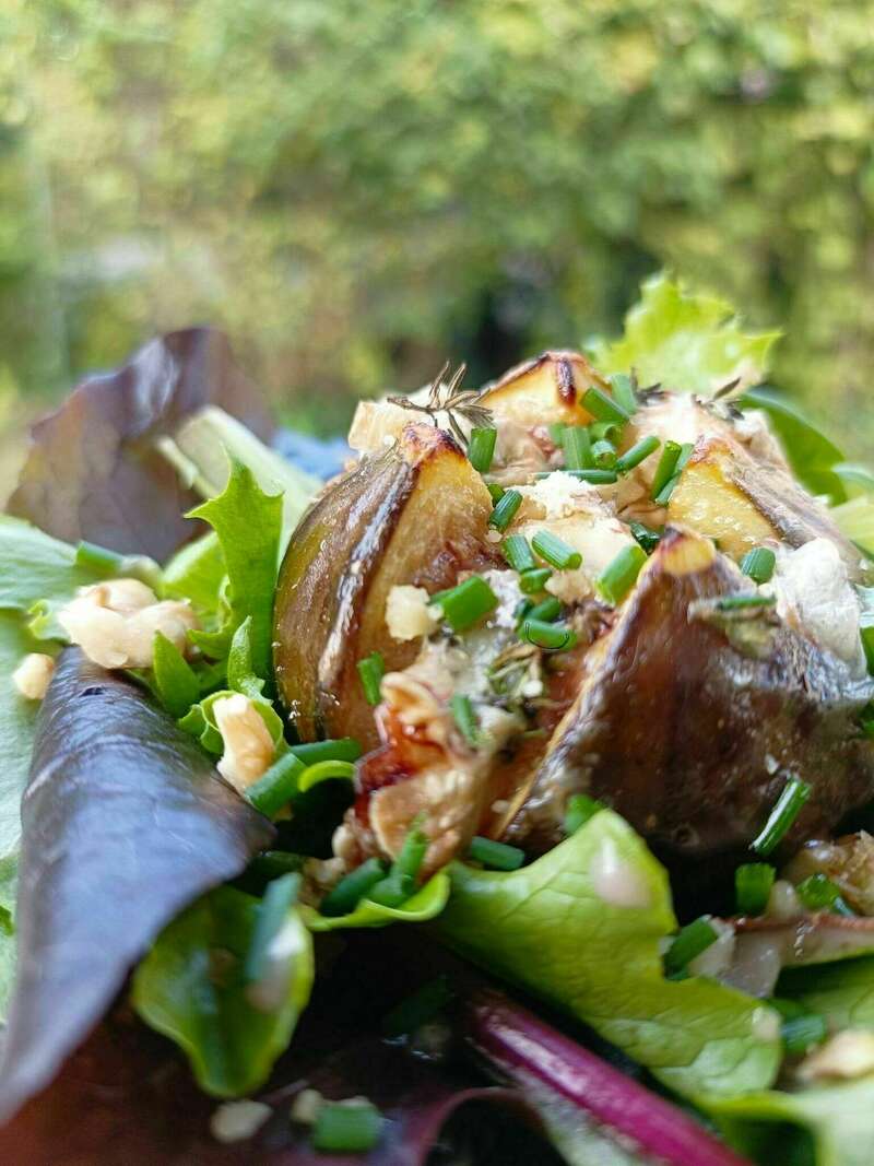 310943448_448437477355641_3768166924739009981_n