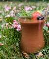 mousse chocolat végétale