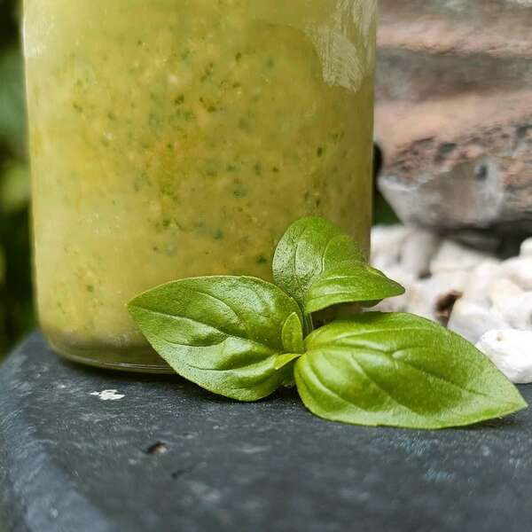 Mes recettes de Pesto