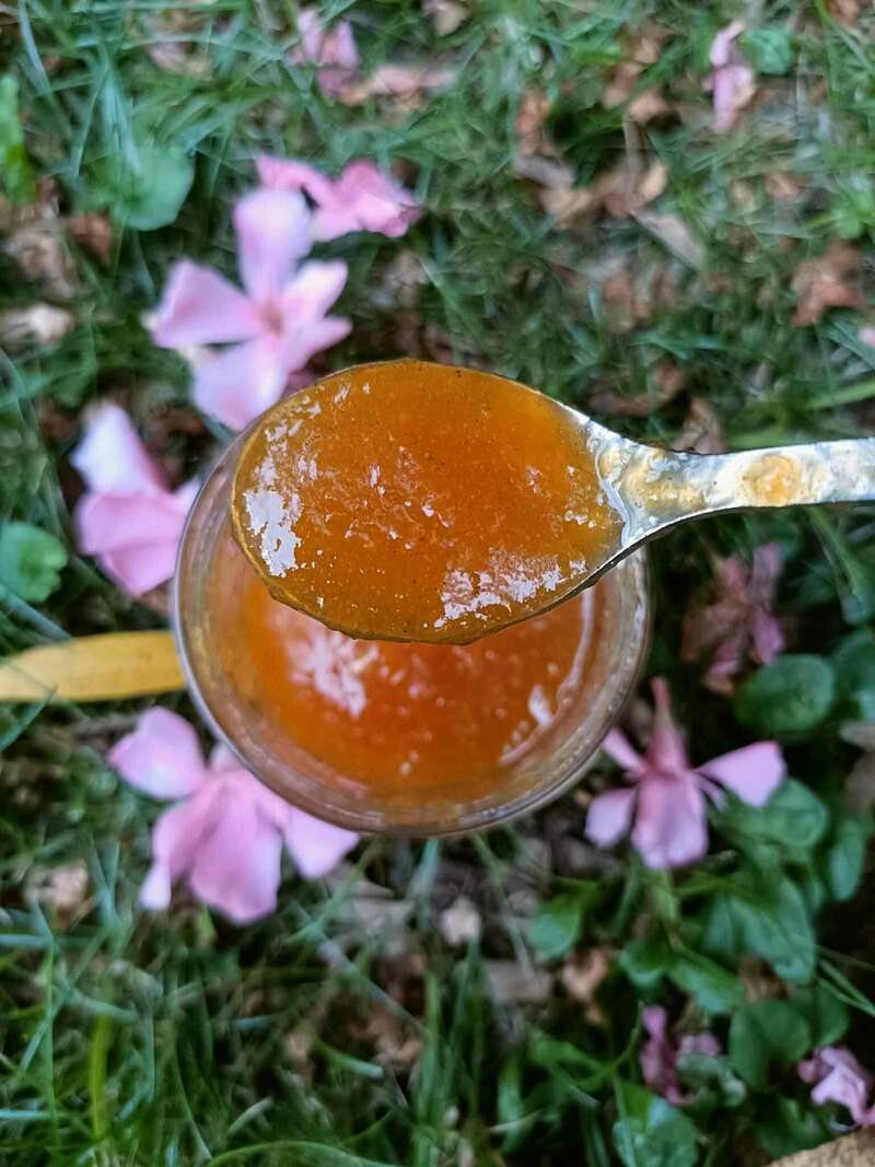 confiture_de_melon__3_