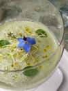 gaspacho concombre menthe