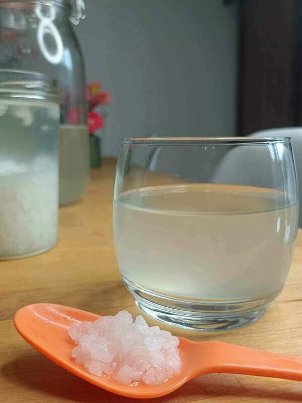 Le Kéfir, une boisson vivante