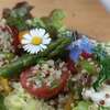 taboule quinoa asperge