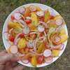 salade concombre nectarine melon