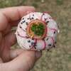 sushi ball veggie