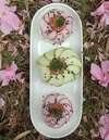 sushi ball veggie