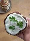 labneh vegan pancake salé