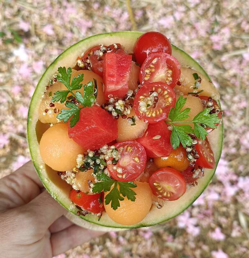 salade_melon_pasteque_quinoa_tomate__4_20250804-10804-knjxl420250804-10804-9prj3w