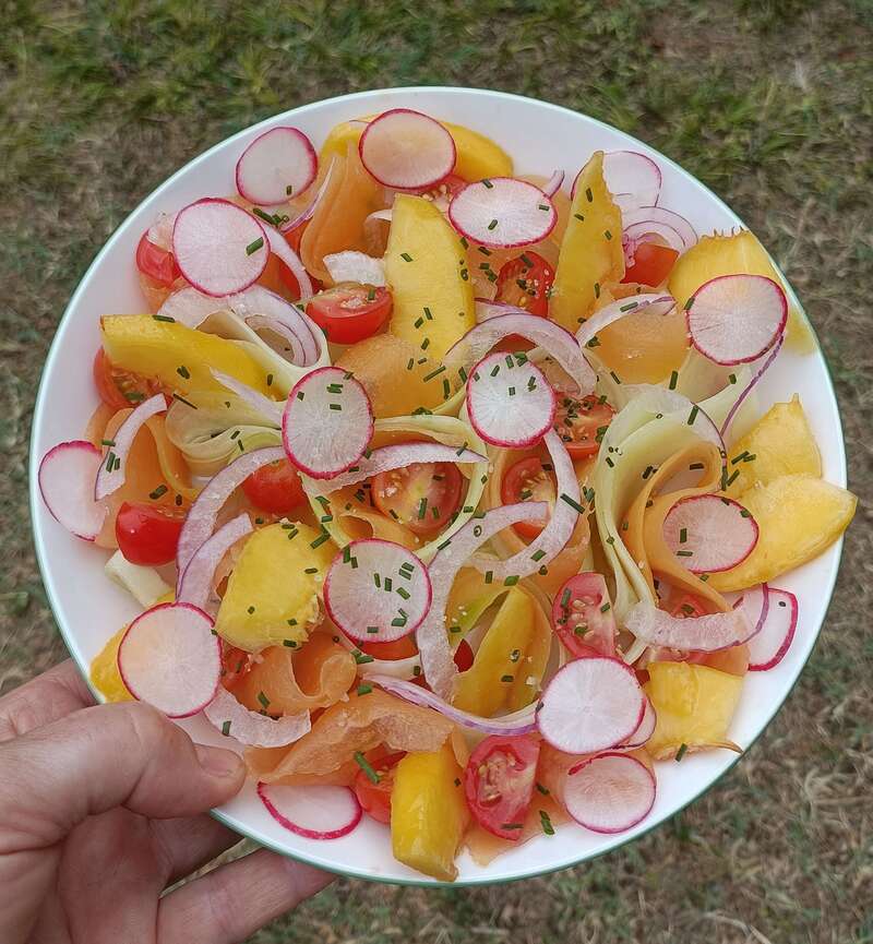 salade_fraiche_concombre_melon_nectarine__3_