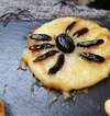 Pizza araignée