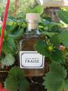 sirop queue de fraise