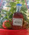 koso sirop aux queues de fraise antigaspi