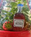 koso sirop aux queues de fraise antigaspi