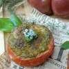 tomate rôtie au pesto