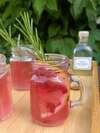 kéfir hibiscus gingembre
