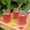 kéfir hibiscus gingembre