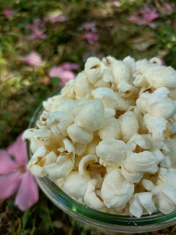 Le Pop Corn
