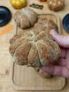 pain_bun_citrouille_sans_gluten__4_