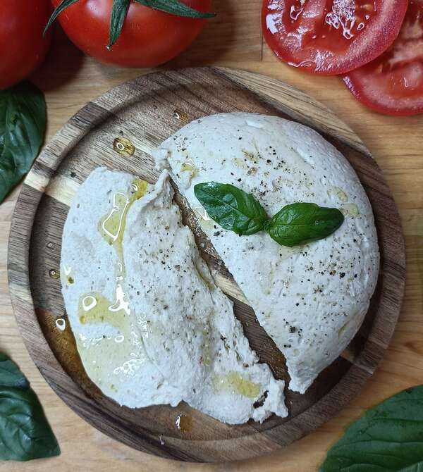 Je confectionne des "Fromages" végétaux