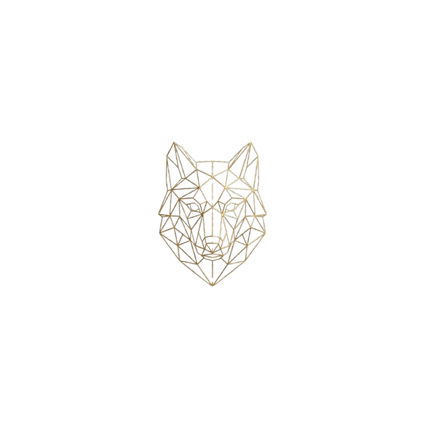 Logo Sandra FOULQUIER Logo Sandra FOULQUIER