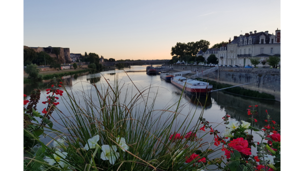 Optimiser ses revenus locatifs à Angers : stratégies concrètes pour la location courte durée