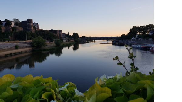 Conciergerie Airbnb à Angers : ce qu'elle fait vraiment pour vous