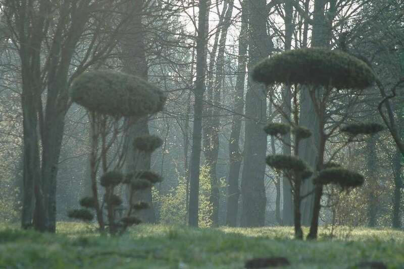 médecine traditionnelle chinoise troyes