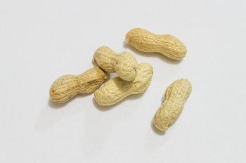 Les allergènes s'affichent au restaurant