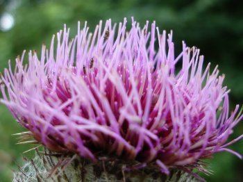 Je fais ma cure détox et vous ?