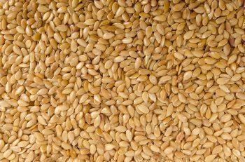 Le gomasio pour changer du sel