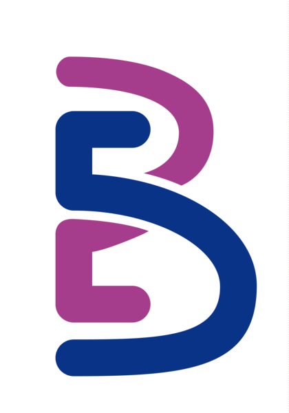 Logo Bertrand BARAY