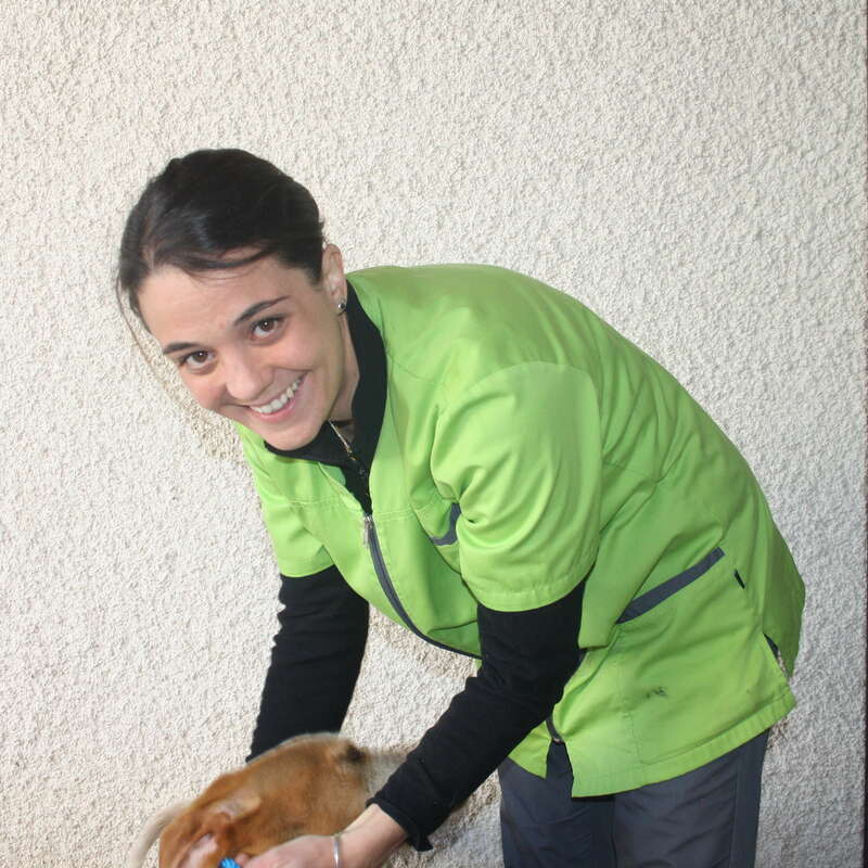 L'équipe de la Clinique Vétérinaire du HautBéarn, OloronSainteMarie